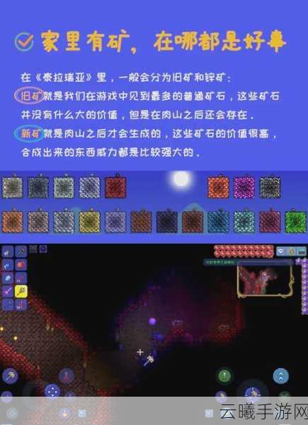 泰拉瑞亚探索神秘领域,神圣之地进入方法与趣味玩法揭秘