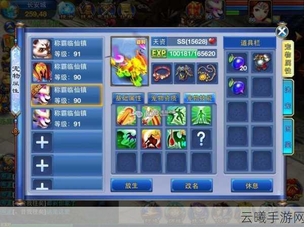 神武手游深度解析,五庄观加点攻略与趣味玩法探索
