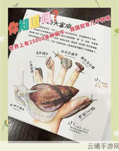 最强蜗牛通识之眼详解及趣味玩法介绍