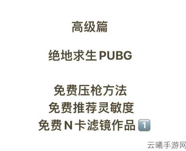 绝地求生新手全面进阶指南，系统攻略解锁生存新境界