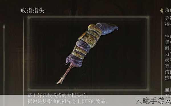 艾尔登法环戒指指头获取攻略及趣味玩法揭秘