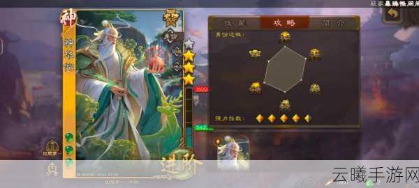 鸿图之下华佗角色深度解析与趣味玩法指南