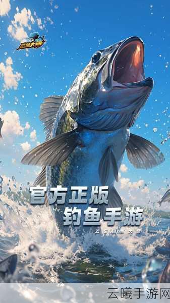 欢乐钓鱼大师新手金鱼竿推荐，开启趣味垂钓之旅