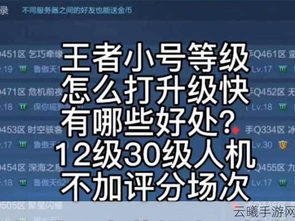 王者荣耀为何玩家对小号炸鱼深恶痛绝?探索更公平竞技的趣味玩法