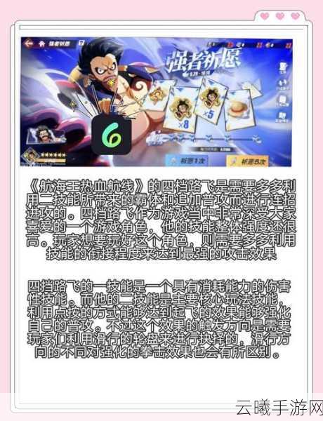 航海王热血航线全面解析，小花园湖北面任务攻略与趣味玩法详解