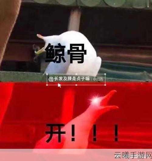 阴阳师手游重磅更新，全新SR式神久次良震撼登场，深海之力等你探索！