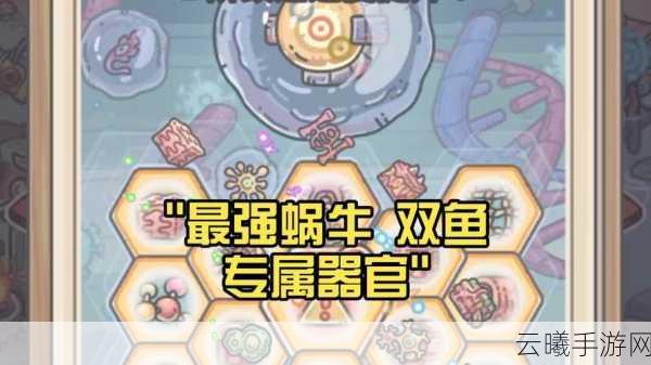最强蜗牛小丑珠触发与趣味玩法全解析