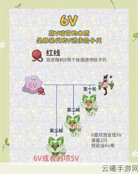 口袋妖怪红宝石遗传系统深度解析与趣味玩法探索