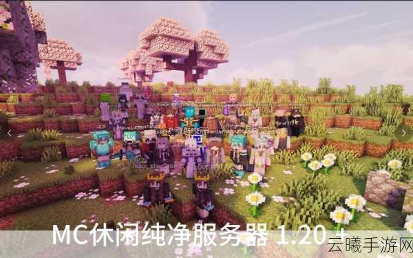 我的世界服务器注册与登录全攻略,探索无限创意的奇妙之旅
