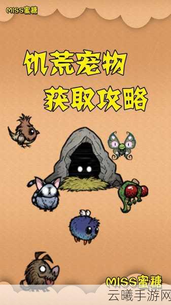 饥荒手游版联机畅玩全攻略,与好友共赴生存冒险之旅