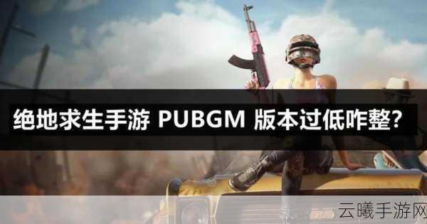 绝地求生手游最低配置需求及趣味玩法揭秘