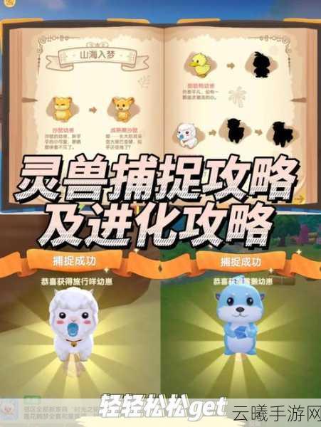 摩尔庄园手游热门攻略全解析，高效寻拉姆，探索趣味无限