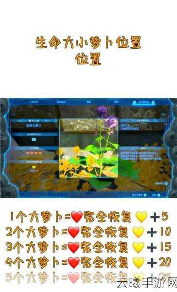 元气骑士中不可或缺的神奇植物——萝卜全面介绍