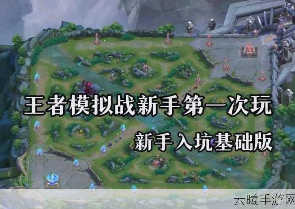 王者荣耀王者模拟战魏国阵容深度解析,王者段位上分秘籍与趣味玩法探索