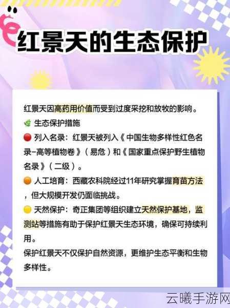 烟雨江湖红景天获取全攻略,解锁珍稀药材的趣味探索之旅