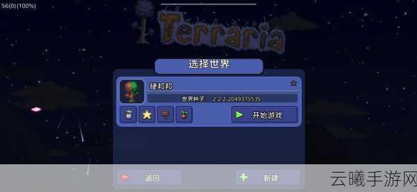 泰拉瑞亚天湖探索攻略，揭秘神秘湖泊的所在与趣味玩法