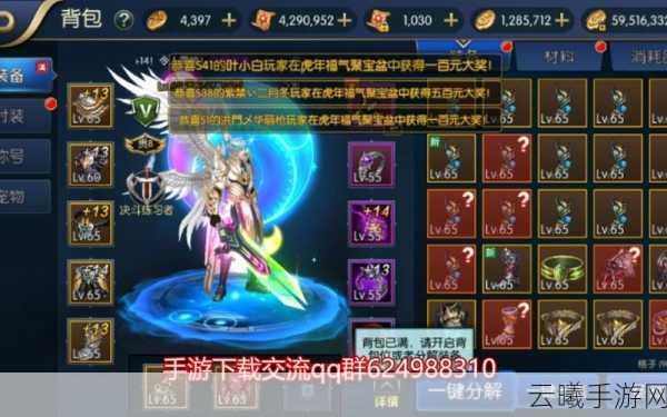 阿拉德之怒骨戒适用职业深度解析，解锁战斗新境界