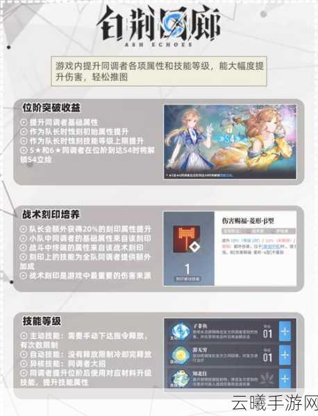 白荆回廊默契值提升攻略及趣味玩法揭秘