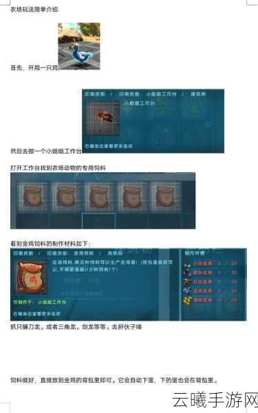 方舟，生存进化手游资讯，探索地宫，揭秘哪个更简单通关秘籍