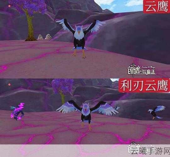 创造与魔法新手攻略,如何捕捉战宠狼,开启奇幻冒险之旅