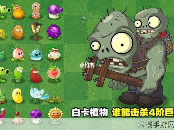 植物大战僵尸2全面解析,探索白卡植物的奇妙之旅