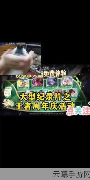 王者荣耀许愿树位置揭秘，领取幸运签，赢取永久皮肤攻略
