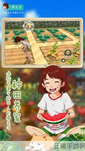 小森生活新版正式上线，沉浸式治愈系生活模拟，启程自然与心灵的双重探索之旅