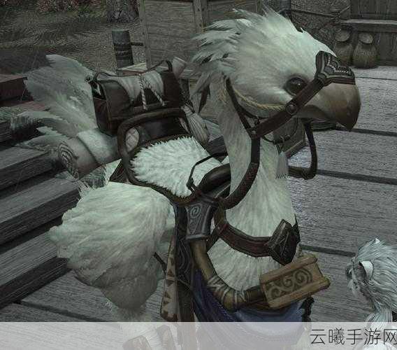 创造与魔法潮流陆行鸟惊艳登场,解锁独特坐骑的奇妙之旅
