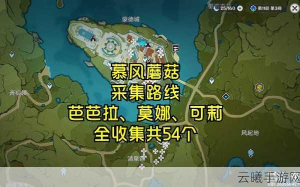 原神攻略,全面解锁慕风蘑菇采集路线,高效资源收集之旅启程!