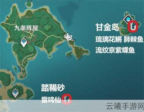 原神雷鸣仙鱼刷新机制及趣味钓鱼玩法全解析
