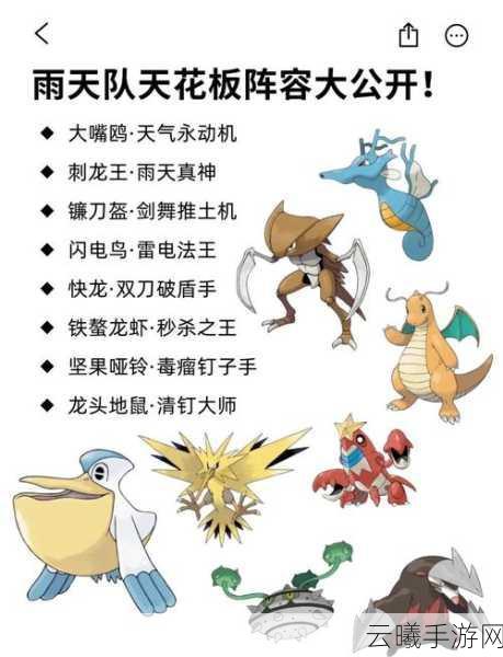 口袋妖怪雨天队破解攻略，打造你的无敌阵容！探索全新趣味玩法！