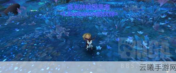 魔兽世界烁光林枝囤果者，珍稀宠物获取全攻略及趣味玩法