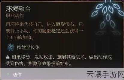 博德之门3中游侠与游荡者的区别解析,特性玩法与定位深度介绍
