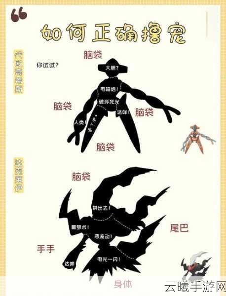宝可梦探险寻宝深度上手指南,战斗烹饪双系统全揭秘,趣味玩法大探索