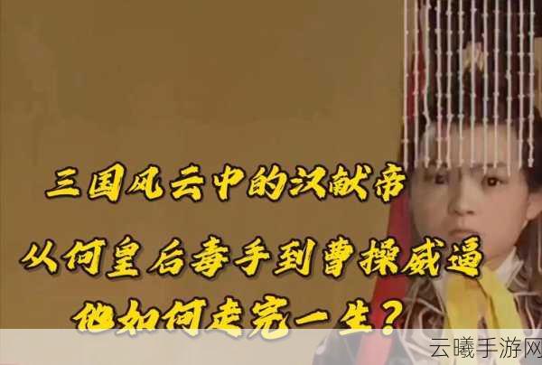 帝王三国深度解析,尊献帝与献帝差异及趣味玩法揭秘