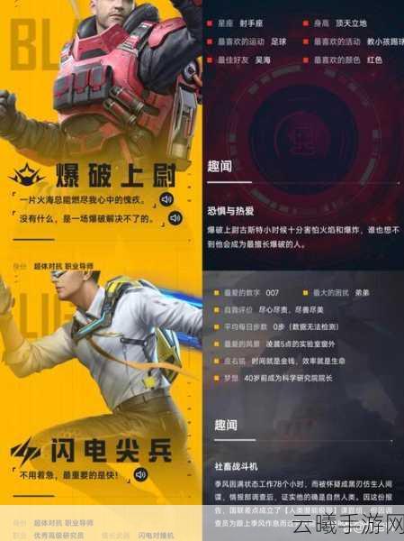 和平精英透明视角显示敌人,战术新宠还是作弊边缘?深度解析与趣味玩法揭秘