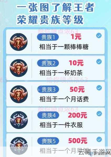 王者荣耀星会员等级价格全解析及趣味玩法揭秘