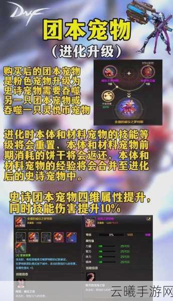 DNF手游宠物选择新攻略,深度剖析外观与实用性,探索趣味玩法新境界