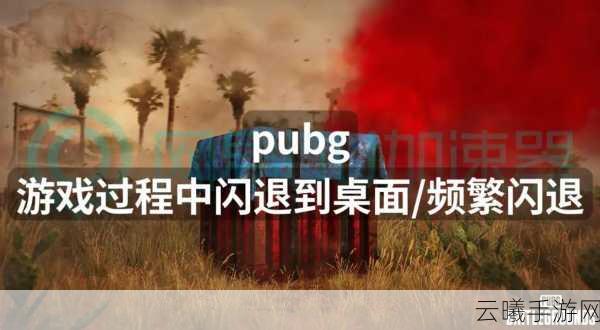 绝地求生手游闪退问题全解析及趣味玩法揭秘