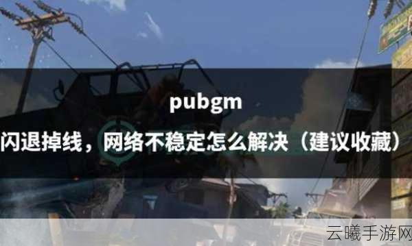 绝地求生手游闪退问题全解析及趣味玩法揭秘