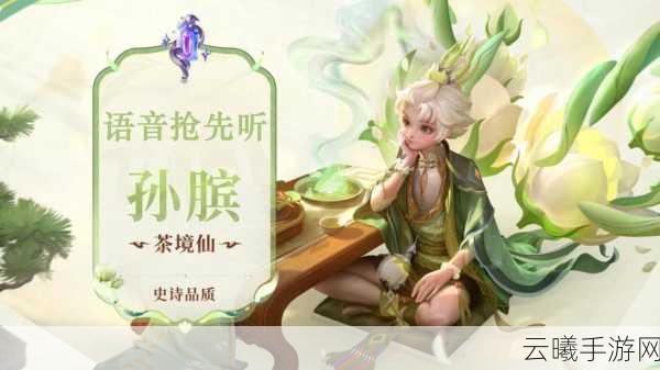 王者荣耀孙膑穿越时空之力揭秘，新手进阶攻略——成为掌控全局的团灭发动机