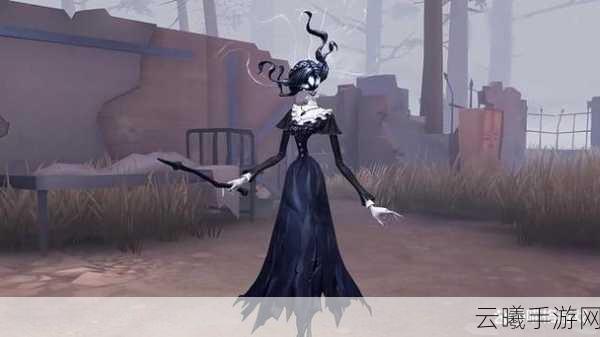 第五人格屠夫角色全解析及趣味玩法揭秘