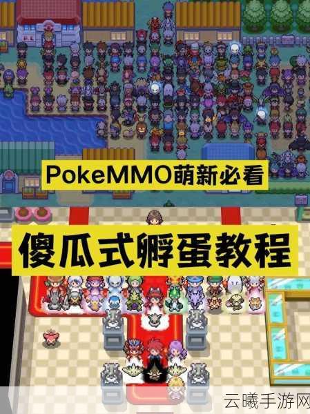 宝可梦剑盾手游深度探索，全面解析孵蛋攻略与趣味玩法详解