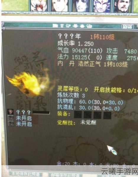 大话西游热血版冰雪魔抗性提升全攻略,掌握资源管理艺术,解锁趣味挑战新篇章