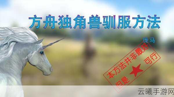 方舟生存进化手游，揭秘独角兽驯服技巧与趣味玩法