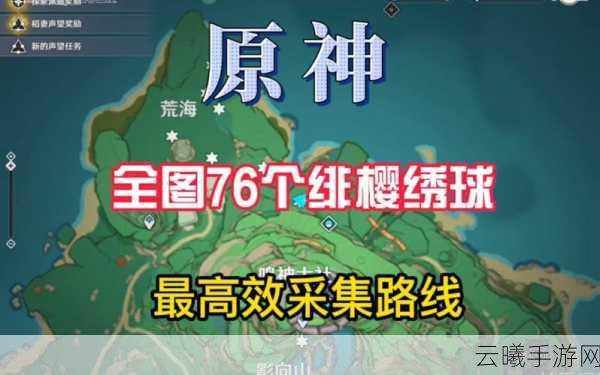 原神绯樱绣球刷新时间全解析,高效采集与趣味玩法指南