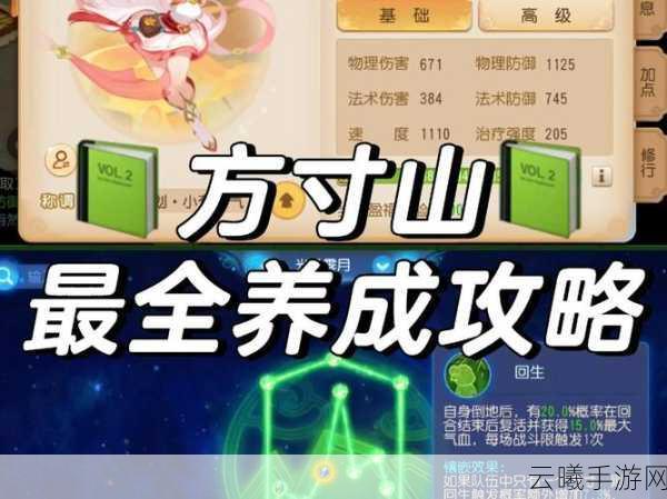 梦幻西游手游方寸经脉点法与镶嵌加成全攻略,解锁战斗新境界