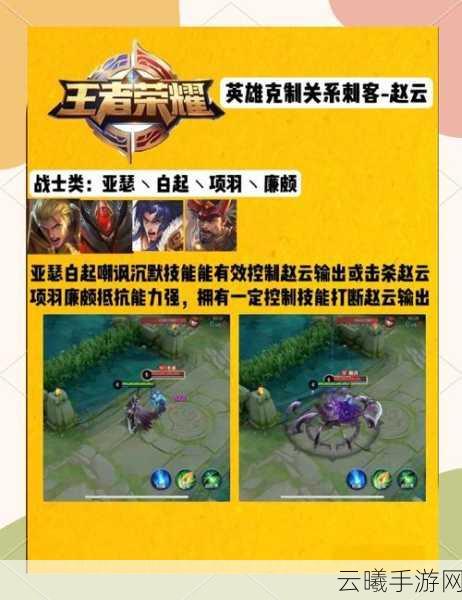 王者荣耀张大仙力荐,赵云铭文搭配与趣味玩法全解析