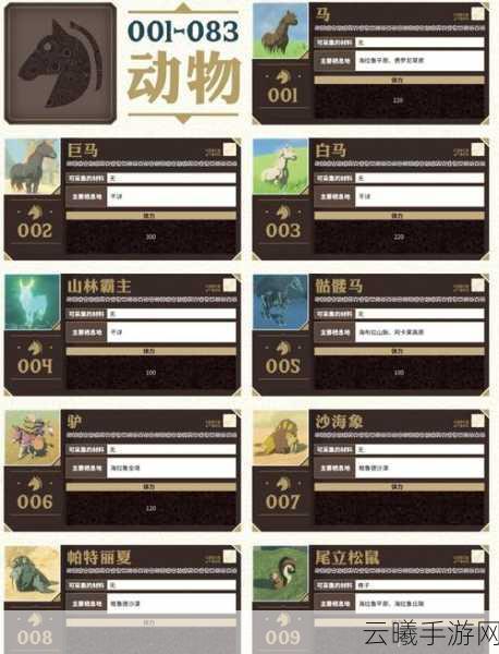 塞尔达传说放大镜神秘功能揭秘，探索未知世界的钥匙