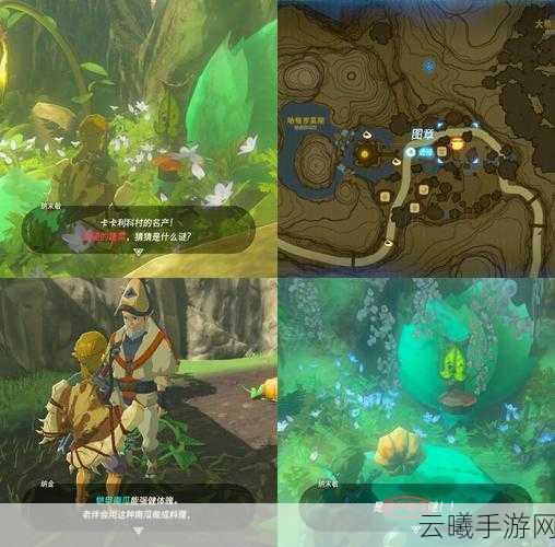 塞尔达传说放大镜神秘功能揭秘,探索未知世界的钥匙